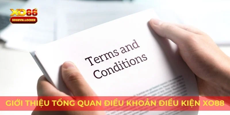 Giới thiệu tổng quan điều khoản điều kiện XO88