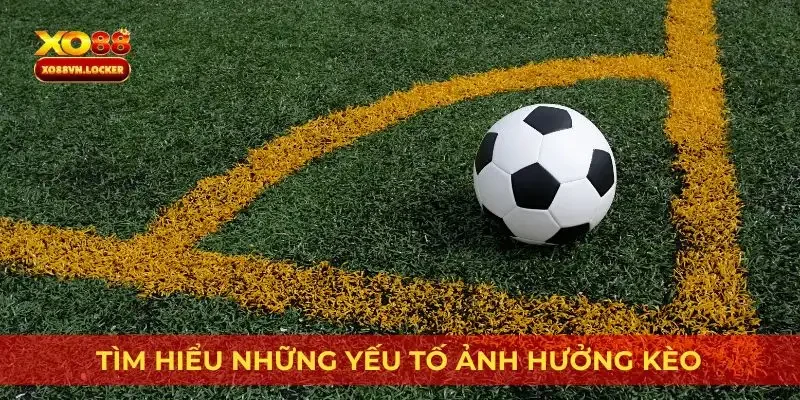 Tìm hiểu những yếu tố ảnh hưởng kèo