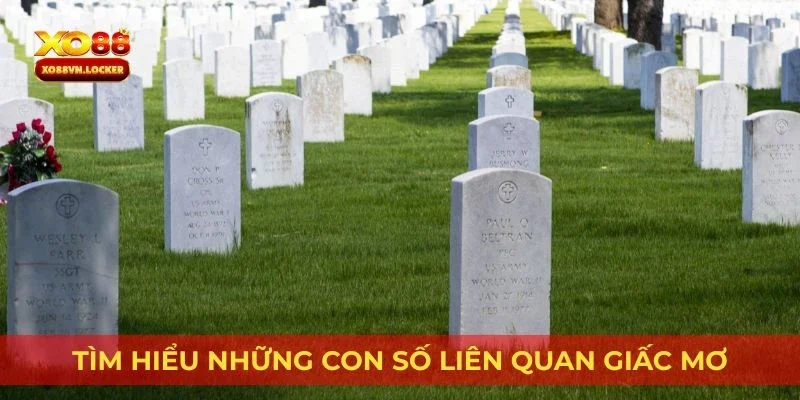 Tìm hiểu những con số liên quan giấc mơ