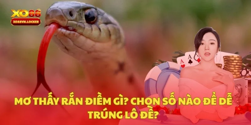 Mơ thấy rắn điềm gì? Chọn số nào để dễ trúng lô đề?