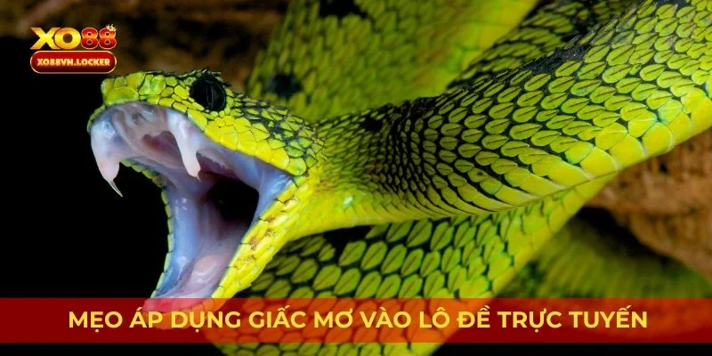 Mẹo áp dụng giấc mơ vào lô đề trực tuyến