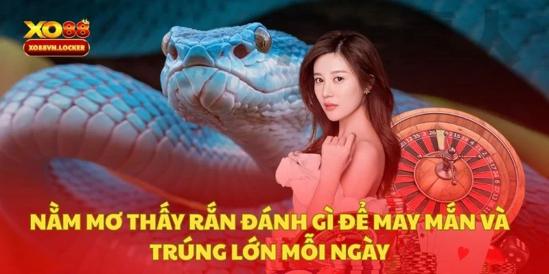 Nằm Mơ Thấy Rắn Đánh Gì Để May Mắn Và Trúng Lớn Mỗi Ngày