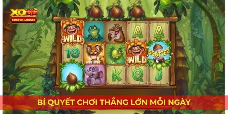 Bí quyết chơi thắng lớn mỗi ngày