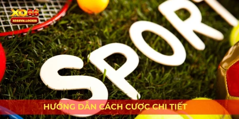 Hướng dẫn cách cược chi tiết